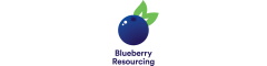 Blueberry Resourcing Logo