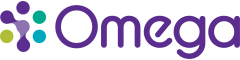 Senior Project Engineer Logo